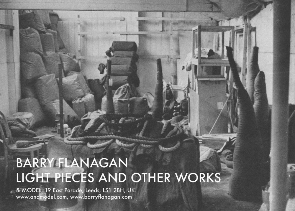 Barry Flanagan Light pieces and other works